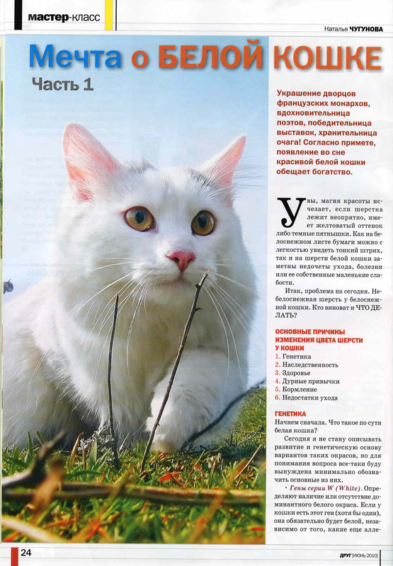 Друг кошек № 6 2010-25