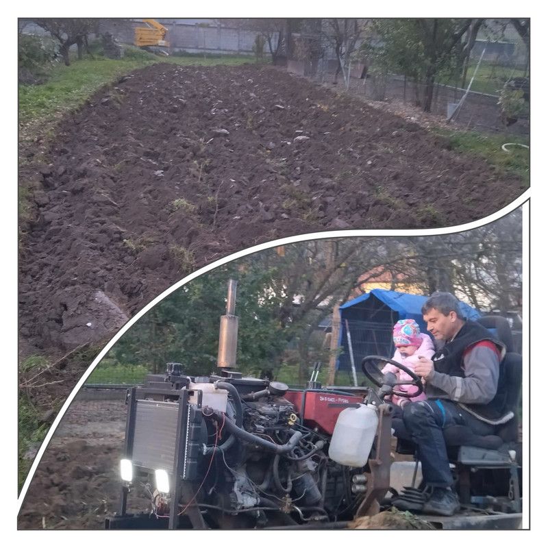 GridArt_20241105_220424250