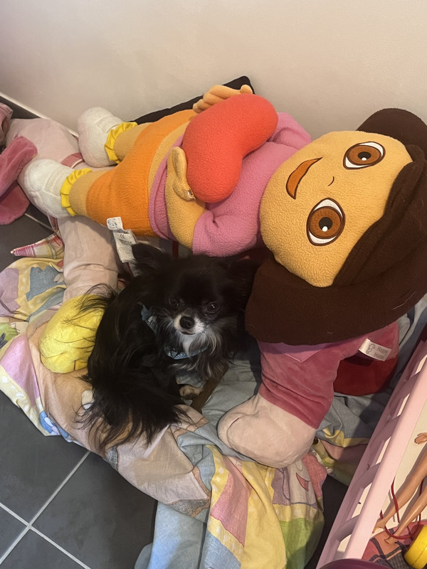 [Image: 041-D46-B7-E73-D-4-A15-AEA9-C78039-DDAB1-B.jpg]