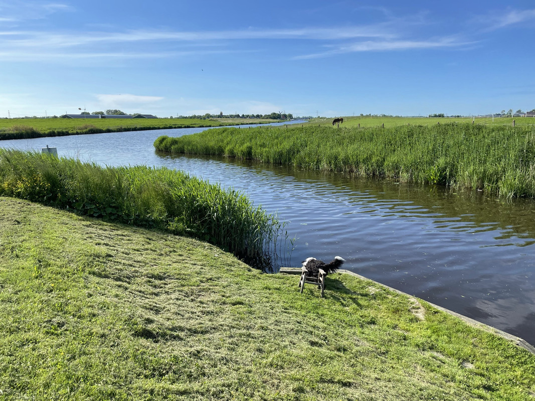 03CDB143-1028-41EA-98C7-31E41CB90E57