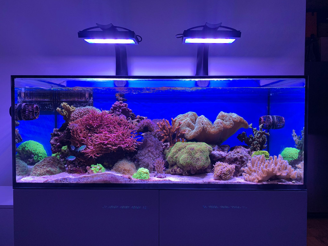 7C05580F-F9DD-4B74-96BF-E9D7E6E09686