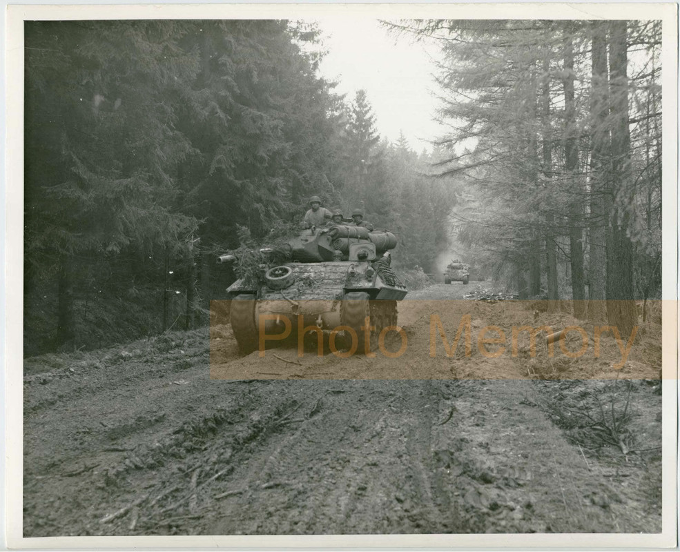 US M10 Tank Destroyer on its way, Hürtgen Forest