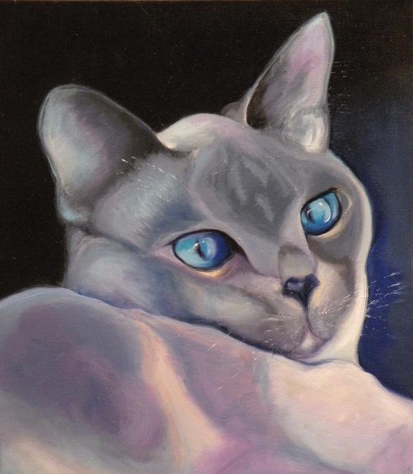02-blue-point-siamese-susan-a-becker-005