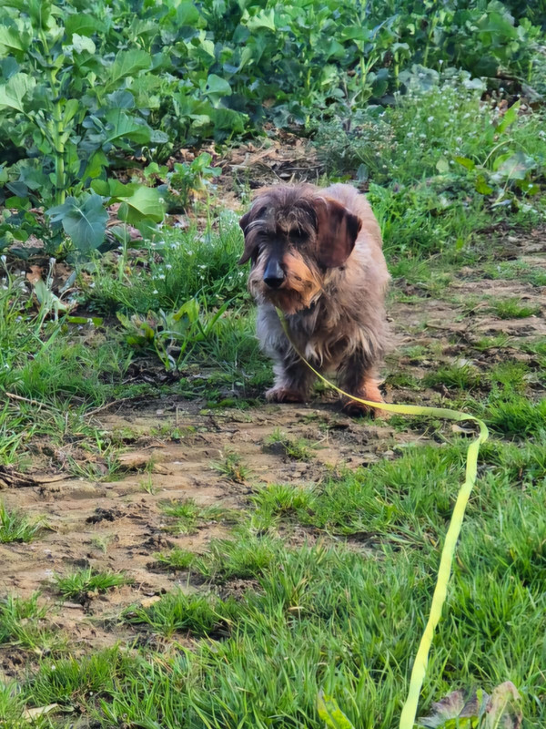 [Image: IMG-20250319-WA0007.jpg]