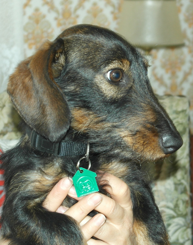 [Image: SAM-7855.jpg]