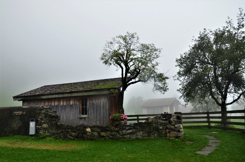 Suiza y sus pueblos-2019 - Blogs de Suiza - HEIDIDORF-7-9-2019-MAIENFELD (12)