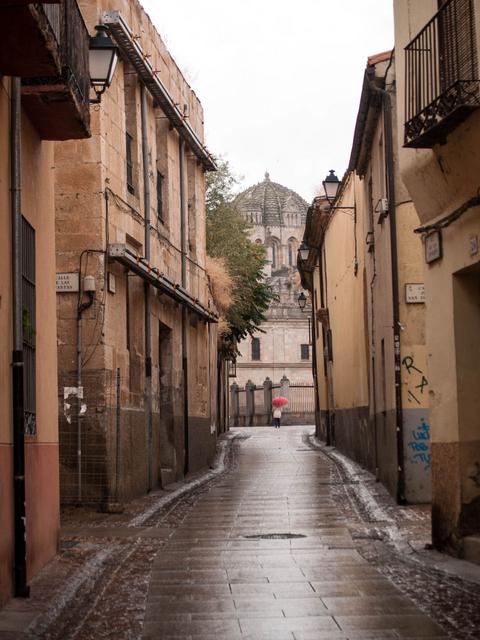 ZAMORA, TORO y "Las Edades del Hombre" - Blogs de España - Sábado en Zamora (41)