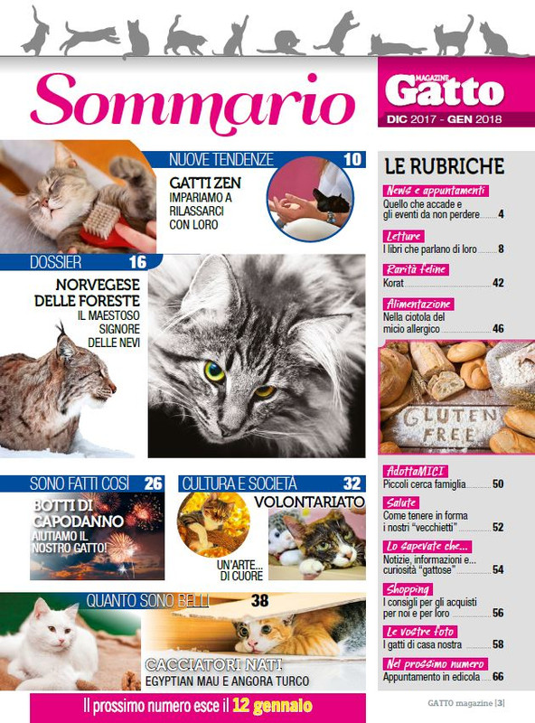 Ga Ma Dic 2017 - Gen 2018 (Somm)