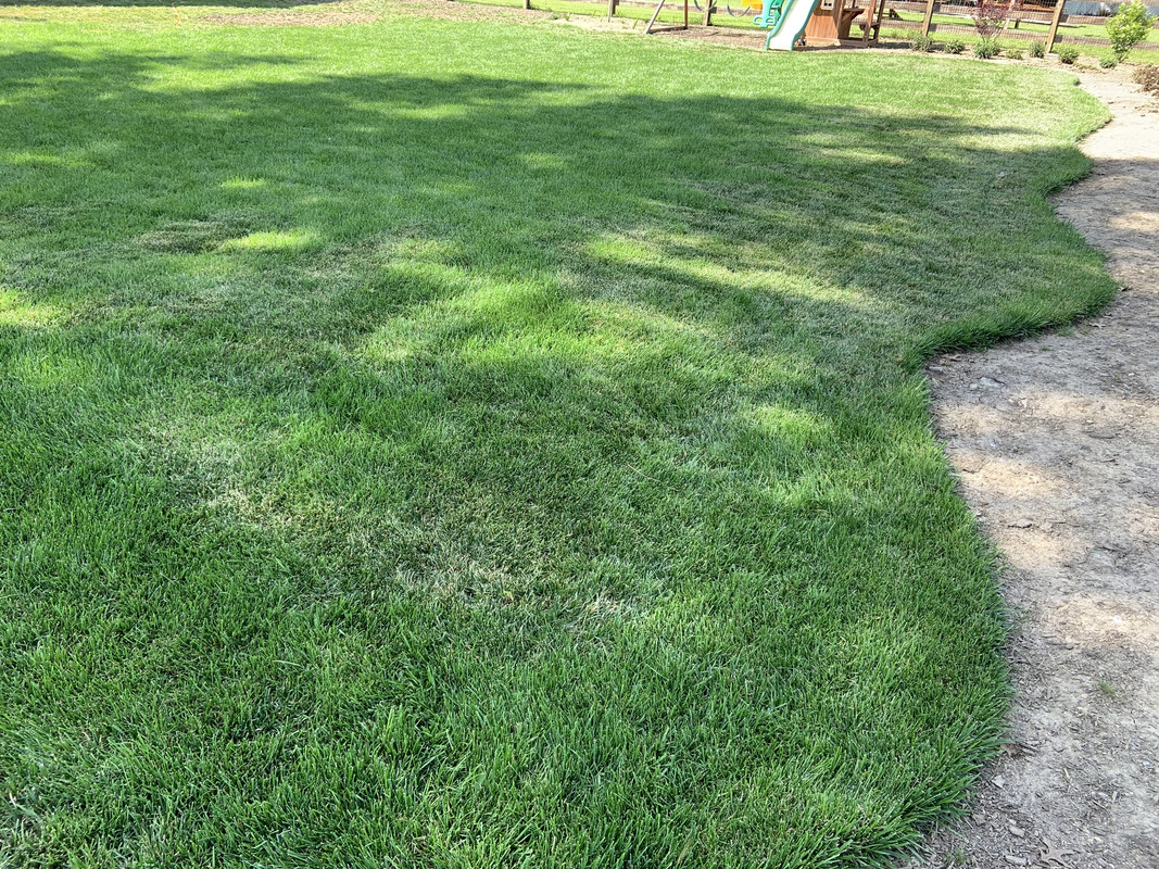 443DA0C5-267B-462F-9742-24D5D2C4DE17