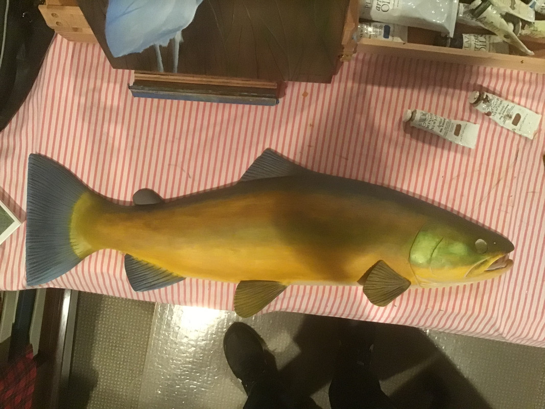 81B91D67-E6DE-4CC3-B743-93B3BC93233C