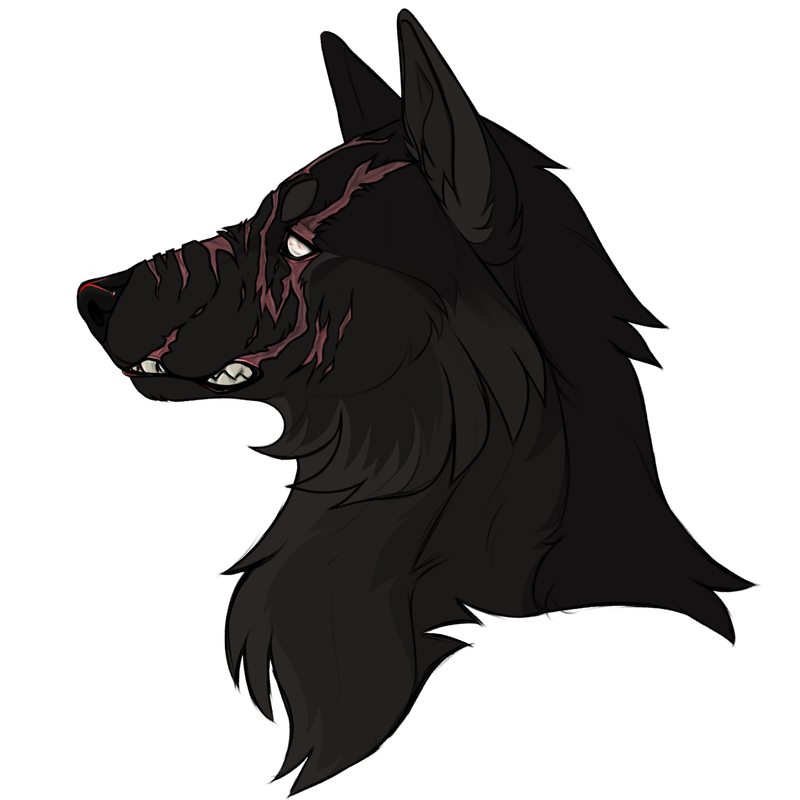 sketchcomm15.png