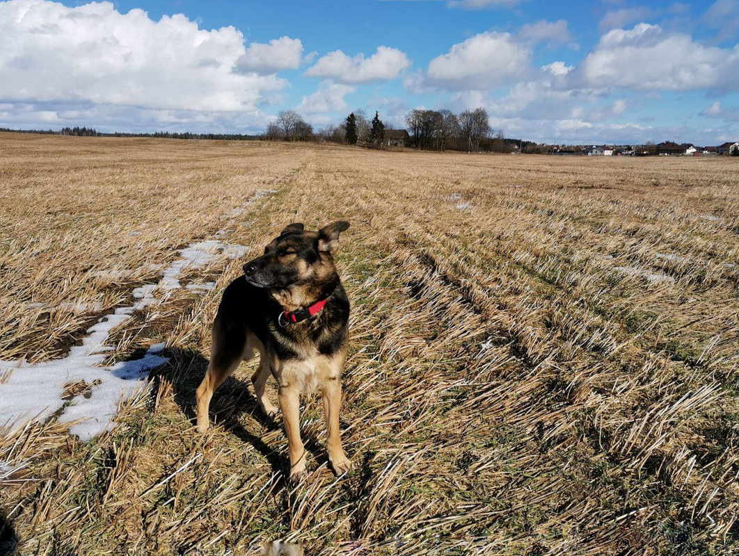 photo_2023-02-24_19-31-48