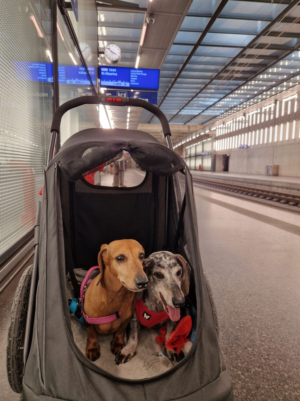 [Image: 20250622-155045-TSDF.jpg]