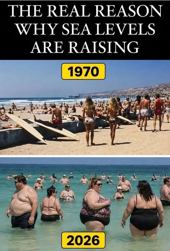 Screenshot 2026 08 11 at 11 43 10 Post a MEME Thread Page 5952 Yellow Bullet Forums