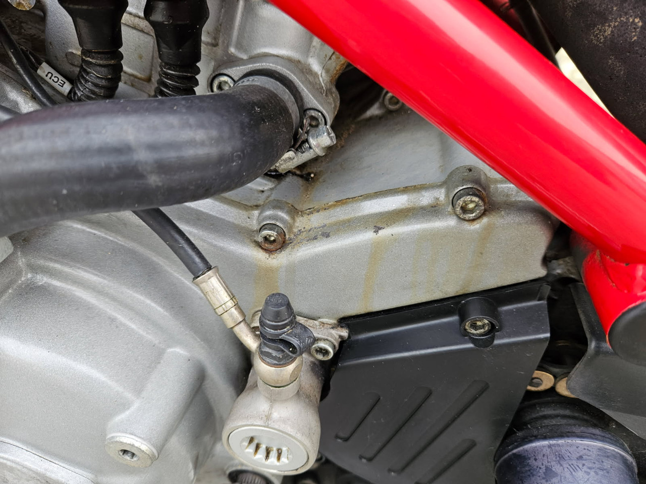 74806A89 0DE6 4D7C 88BC 0FA4021E2786