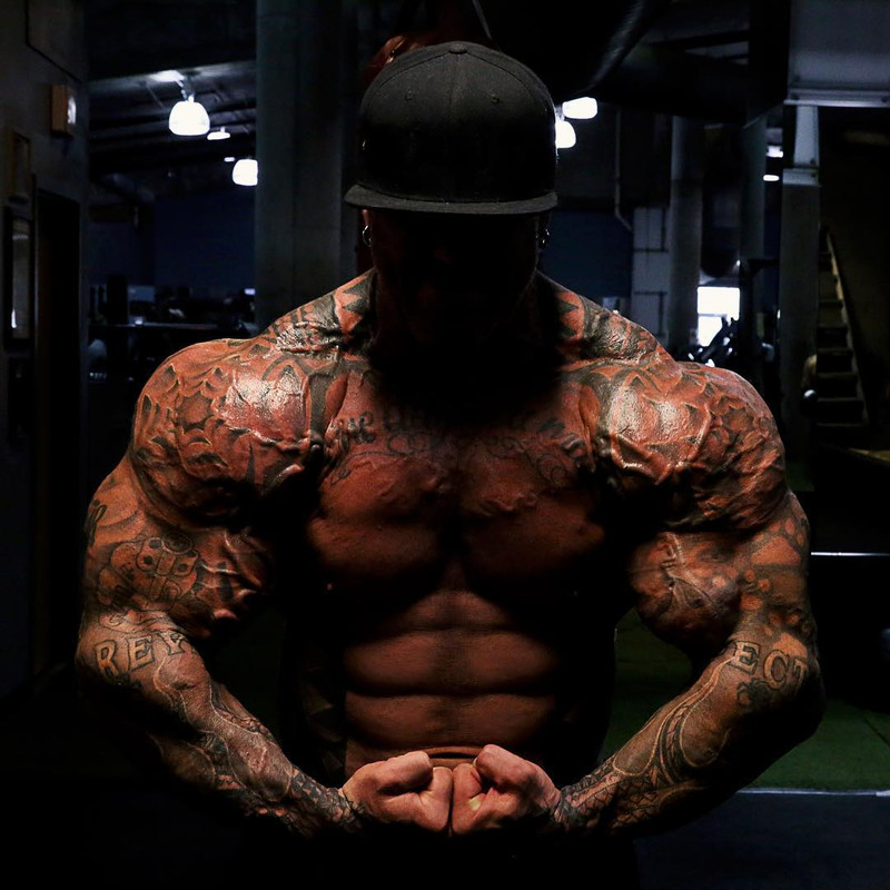 Snapinsta-app-16229004-1881474505429933-