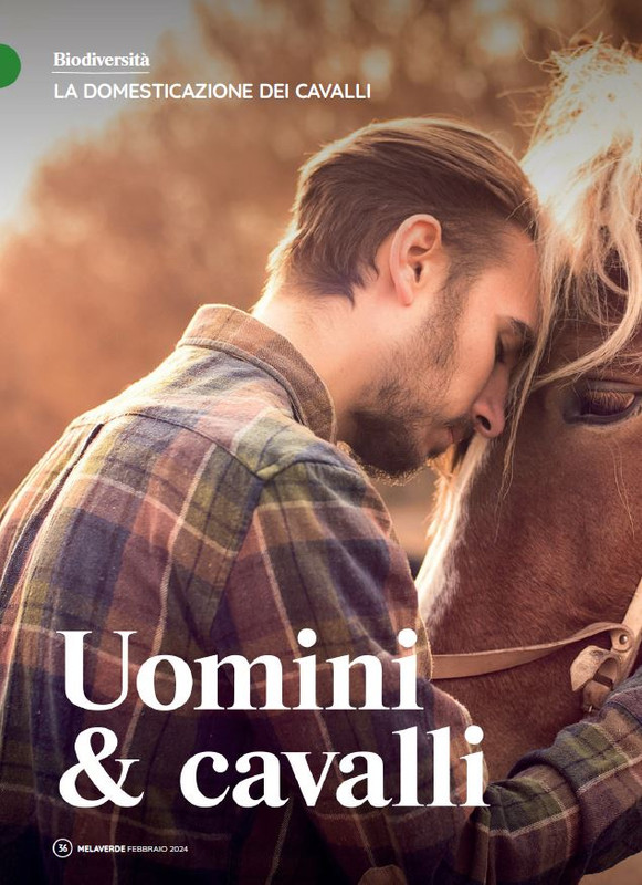 melaverde Feb 2024 (3)