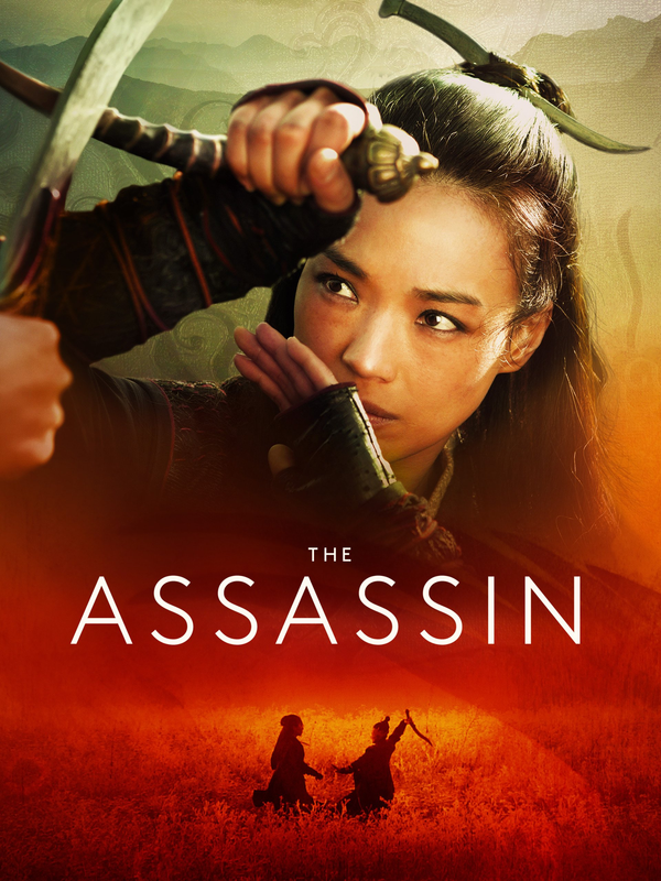 The Assassin 2020 Hindi Dual Audio ORG 720p BluRay 700MB Download