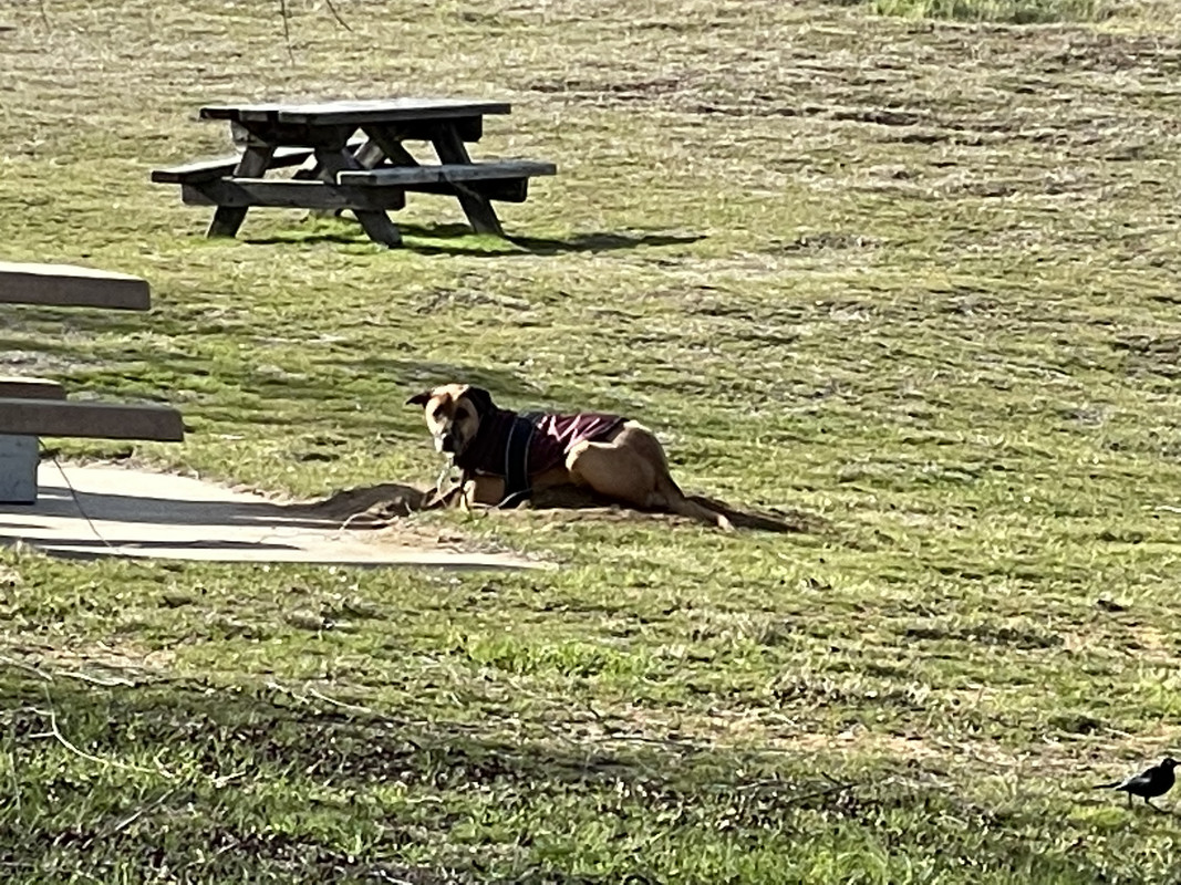 B2520E27-0210-4E2D-9213-771630781494