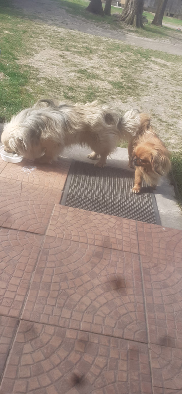 [Obrazek: 20260424-090159.avif]