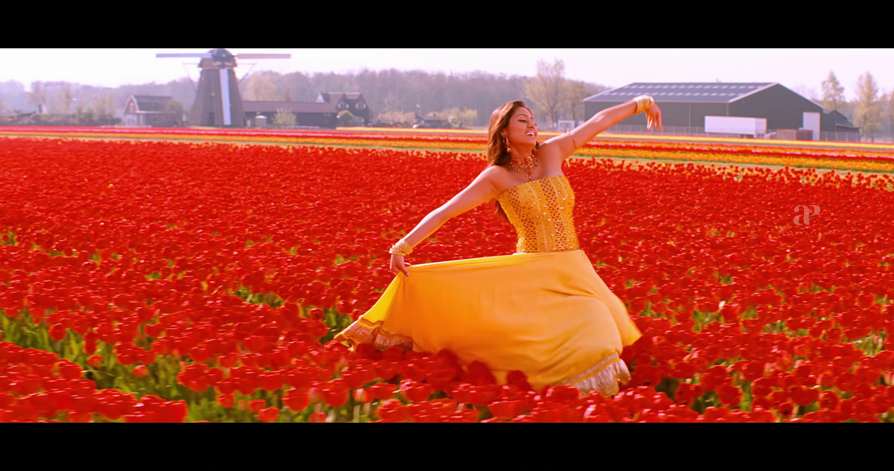 VideoCapture_20241122-200400