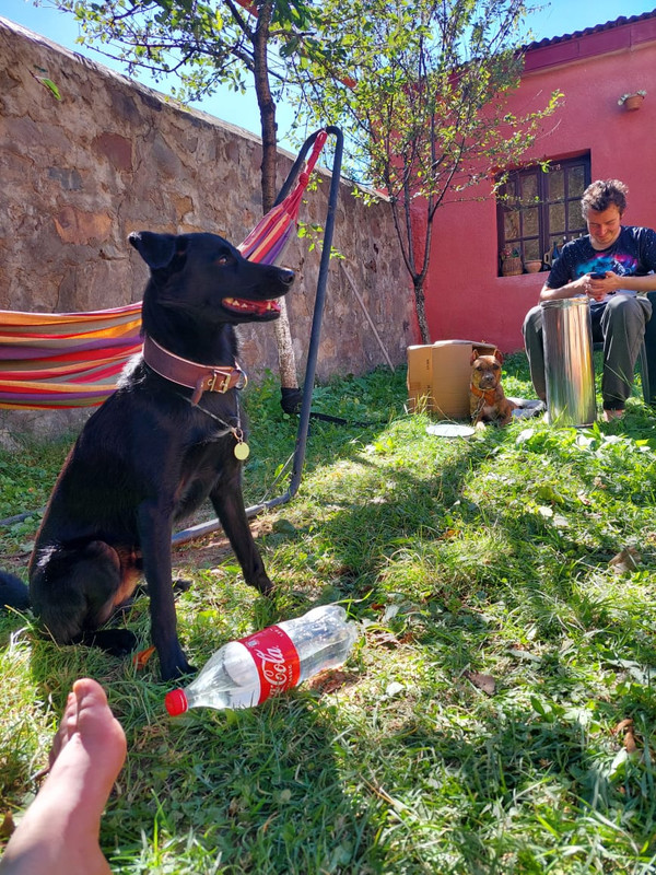 D2193654-078B-49C2-BD92-D0E2906D8BCC