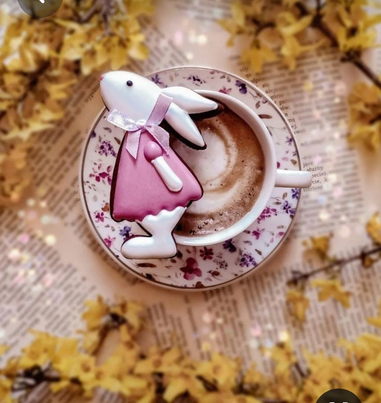 Screenshot_20230316_234237_Pinterest