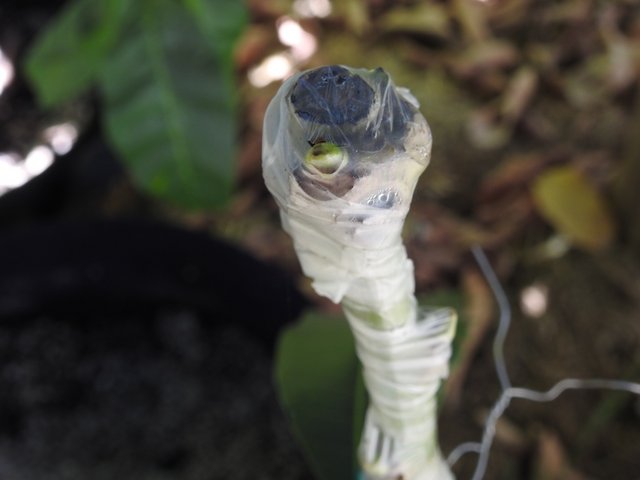 59D7AFE0-AFBA-4FC6-97F8-93FA7A982A5E