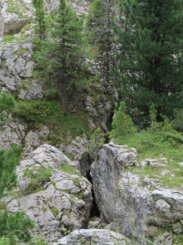 https://i.postimg.cc/x853QD1q/280-IMG-1858.jpg