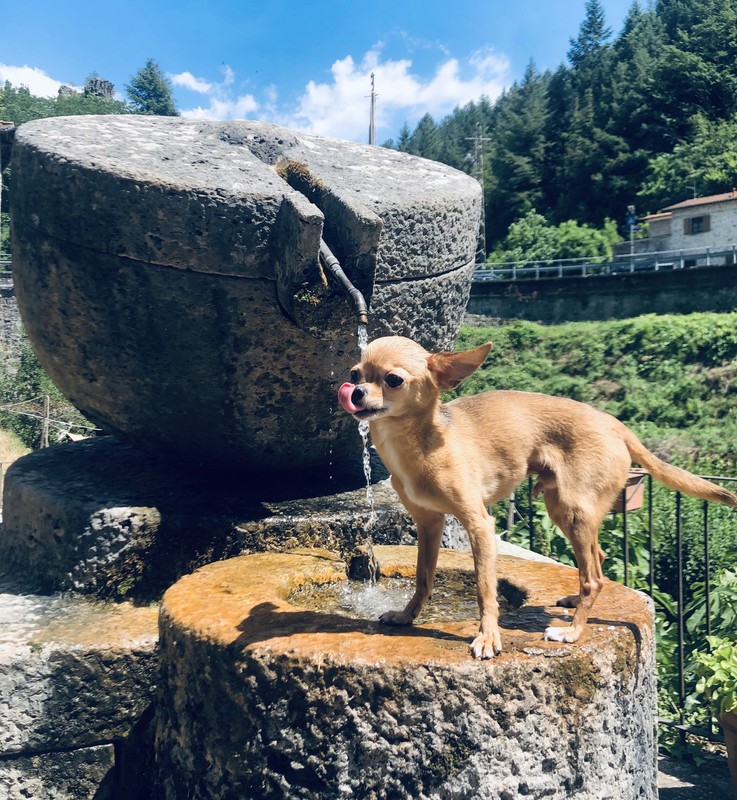 5E264D02-8961-46E8-9D0A-4BEC3244A630