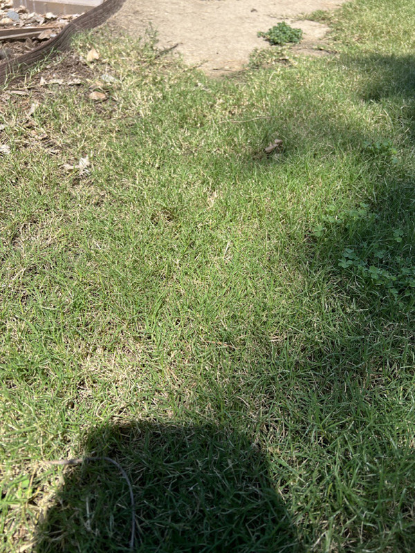 photo_2022-08-19 12.43.53