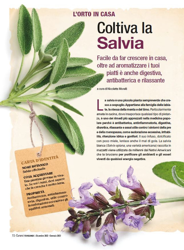 Cur Mang Dic 2022-Gen 2023 (11)