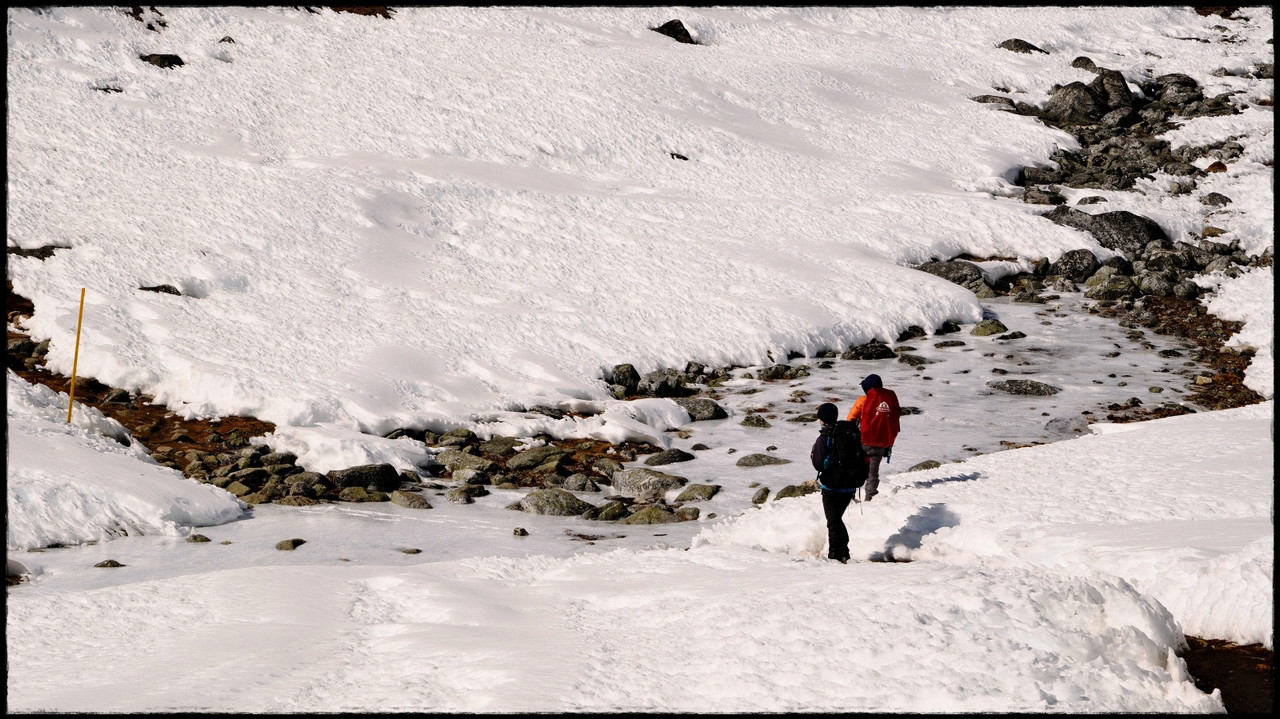 Día 18. Dzongla a Dragnag : Cho La - Everest Three Passes Trek: tres pasos, tres cimas, tres campos base (15)