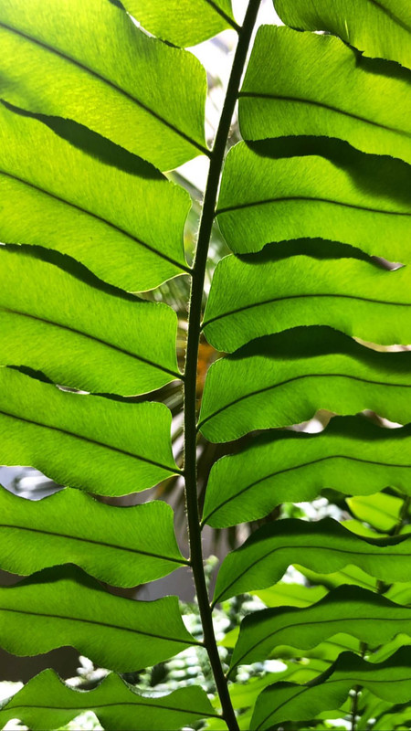 angelcandices~1555957234~2027838739346614584_43114731