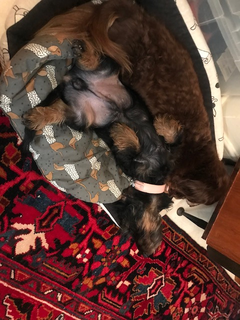 [Image: IMG-3312.jpg]