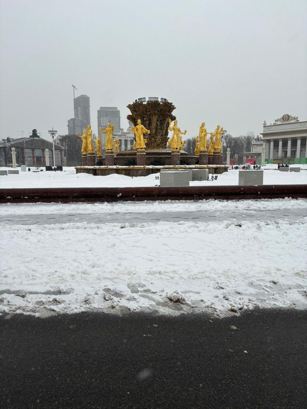 Виды спорта. Спортивные мероприятия на водн. День спорта на вднх. День спорта на вднх. Вднх спорт.