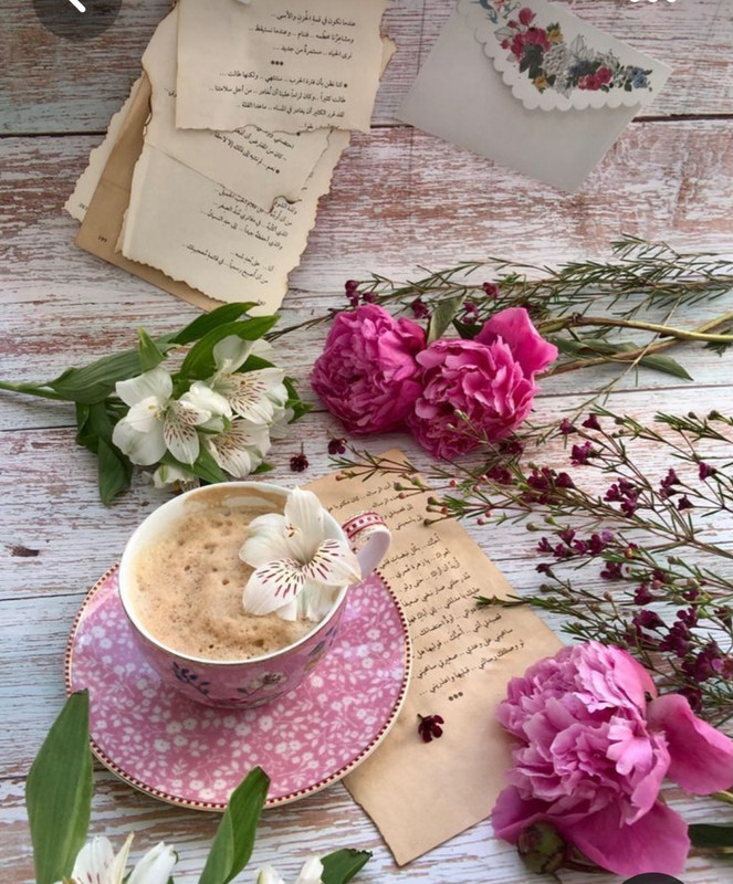 Screenshot_20230316_013842_Pinterest