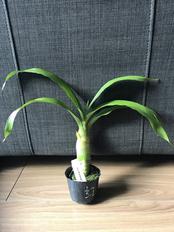 203B8709-7B65-4B37-92D2-57B0EE06D7EB