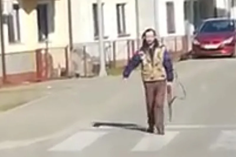 slika