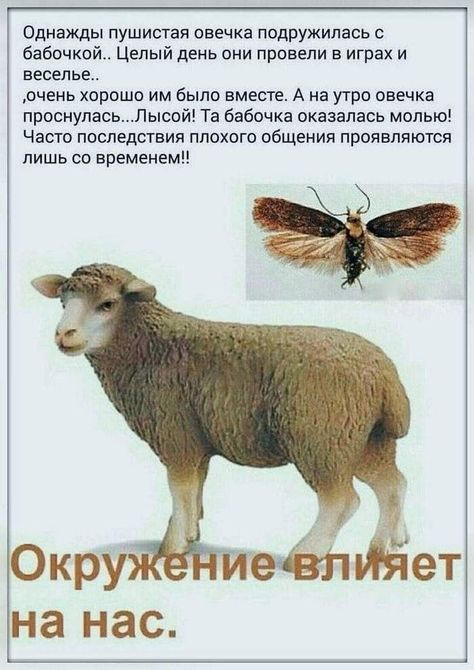 [Изображение: 1.jpg]