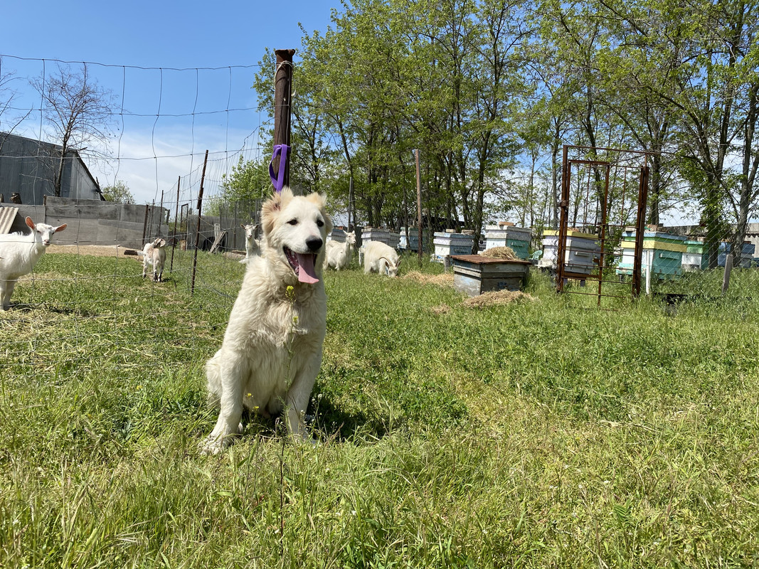 863A3D1F-1A18-490A-A45D-7CE1FC11FA2A