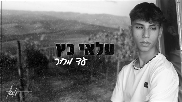 תמונה