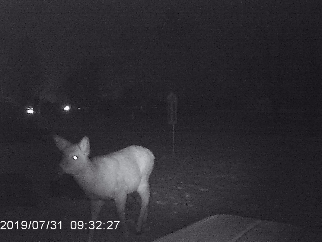 D86C5FFC-6FED-46E6-B129-62DC5F0A9592