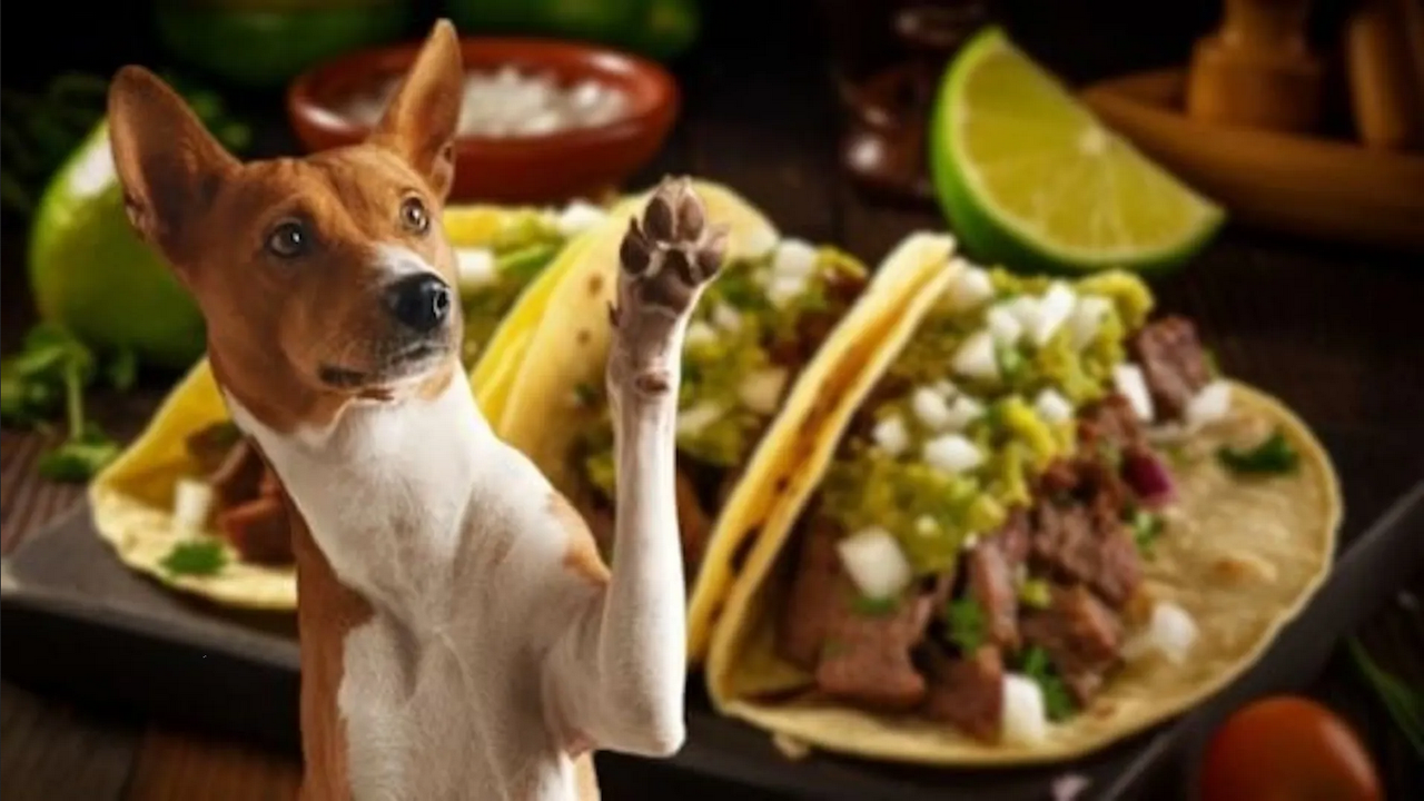 ¿Cómo saber si estoy comiendo carne de perro y me puede dañar?