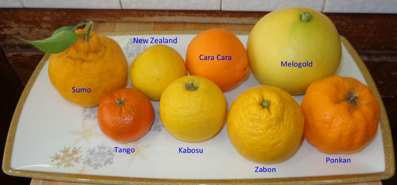 Ripe-Citrus(12-24-22)-2