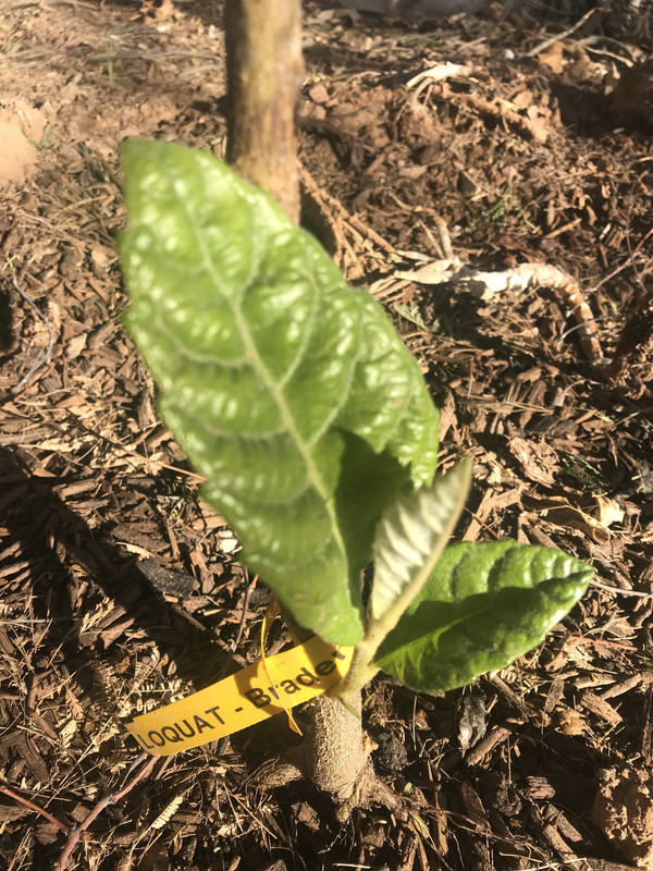 5CD41C25-429B-456B-A50C-C70372A8CBFE