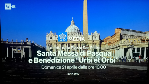 WP-20190417-23-18-44-Pro.jpg