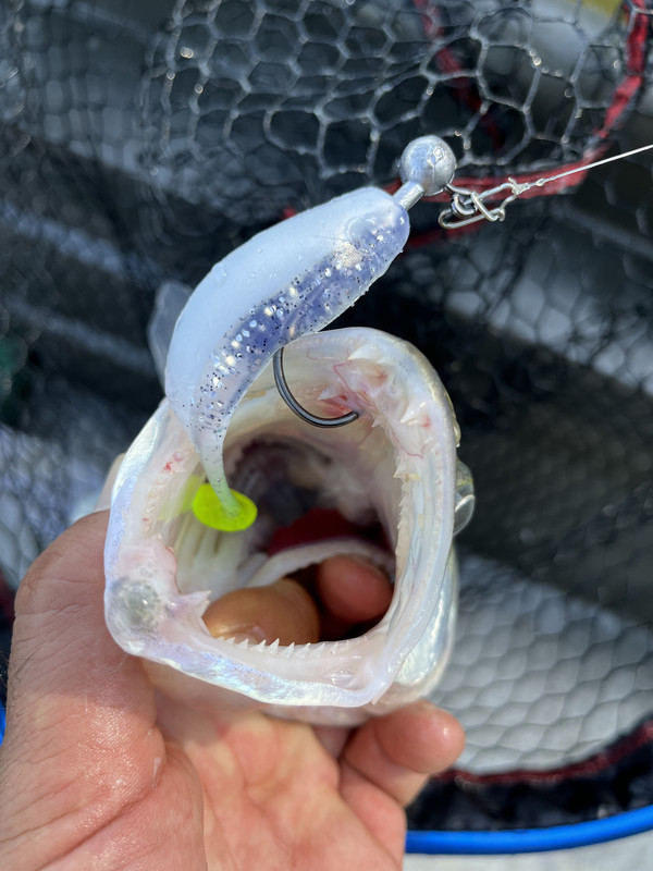 C10BF8C1-6A74-4AAE-9202-46FDD05D3DF7