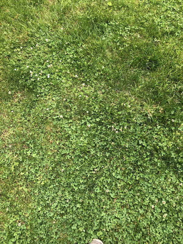 EB3AA015-EC9C-472D-8630-D10D385B255F