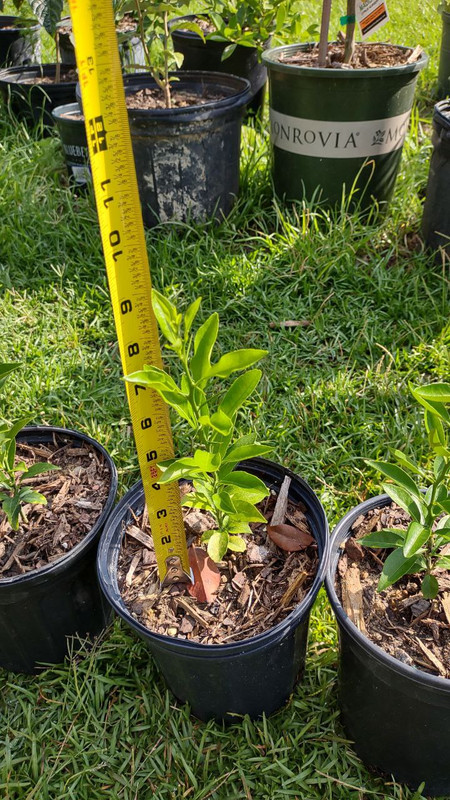 photo_2025-07-23_09-30-07 (9)